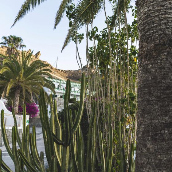 Exteriores Marina Bayview Canarias Exteriores Marina Bayview Canarias