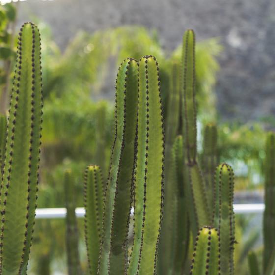 Exteriores Marina Bayview Canarias Exteriores Marina Bayview Canarias